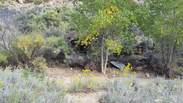 Sego Canyon ghost town